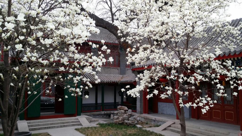 Scholar Tree Courtyard Hotel Beijing Luaran gambar